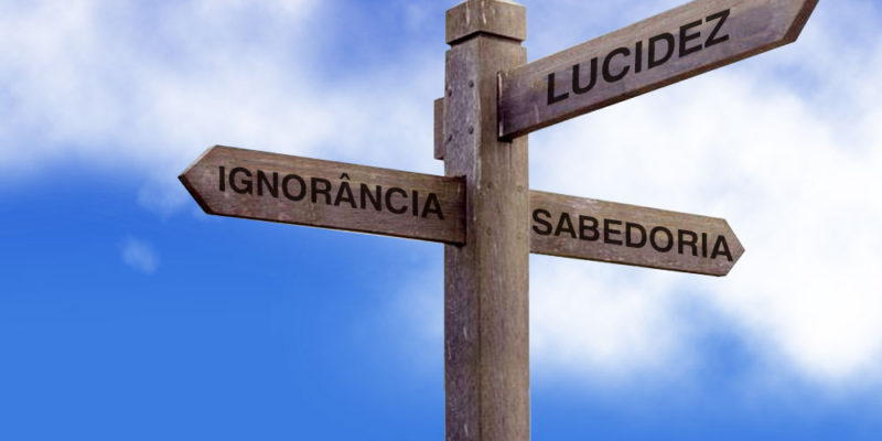 Que caminho tomar?